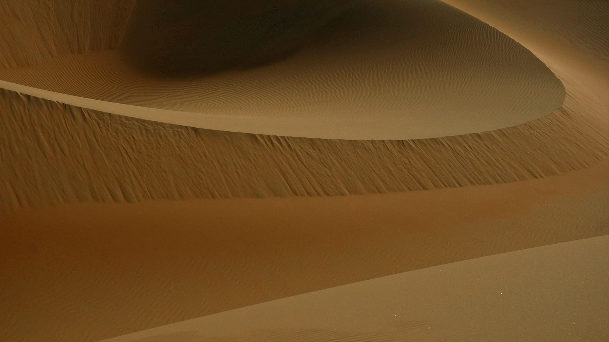 iMerit vs. Humans in the Loop: Comparing Data Labeling Providers