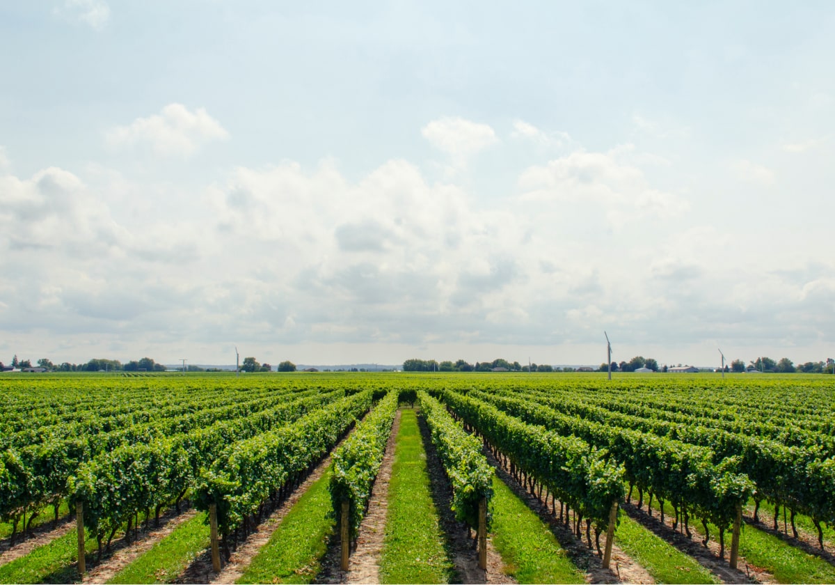 Agriculture