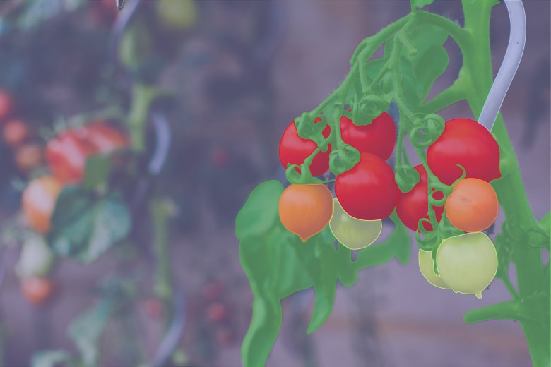 Agriculture