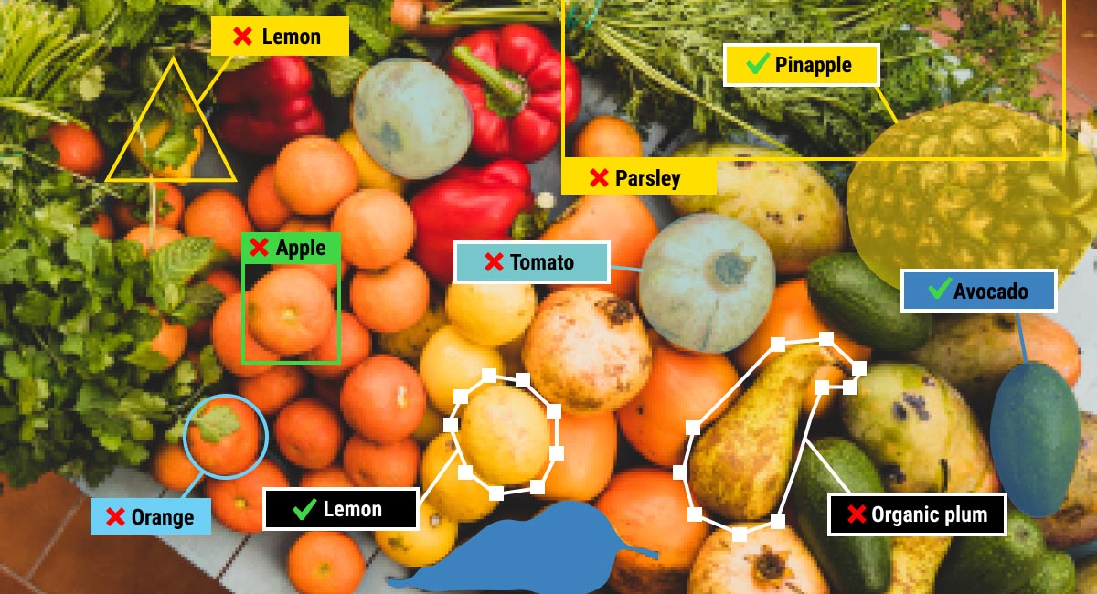 Incorrect or inconsistent labels