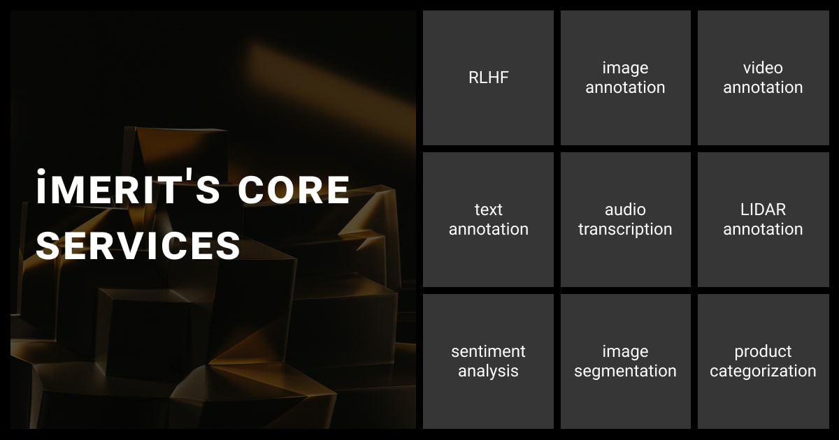 iMerit's main services