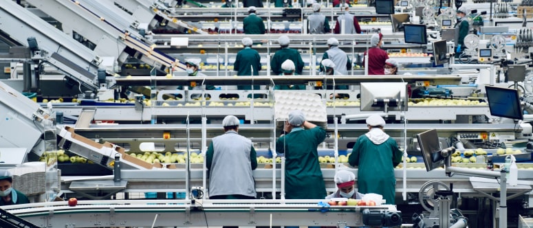 By pinpointing objects with precision, we enable your robots to 
                        identify and interact with items in their environment.