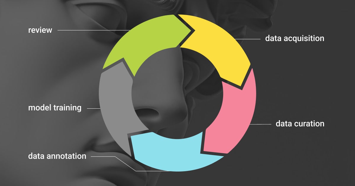 Integrating data curation in the model development process