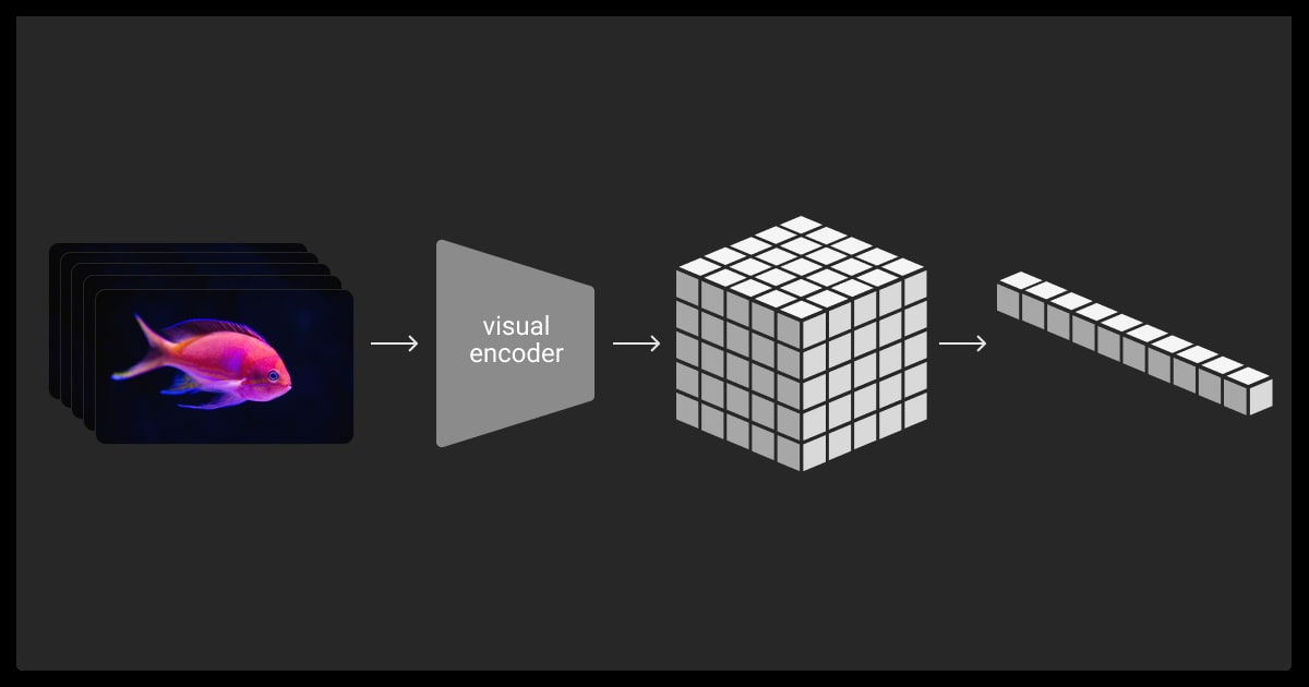 Visualization of spacetime patching (processing)