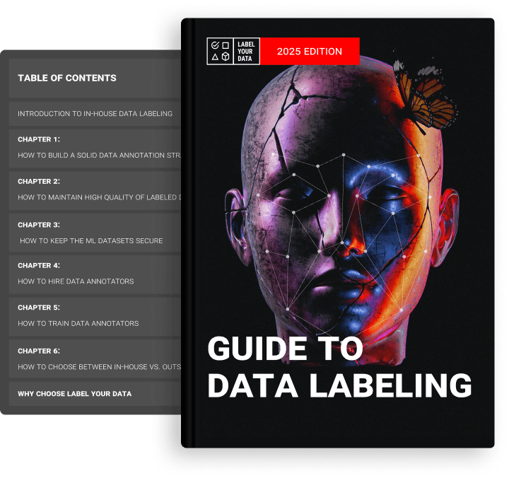 The Guide to In-House Dataset Labeling